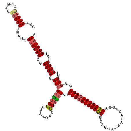 secondary structure