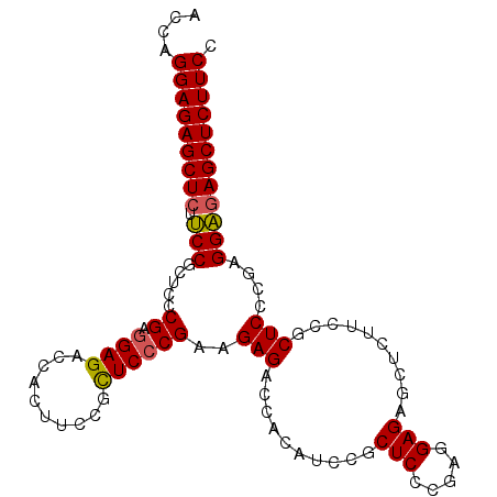 secondary structure