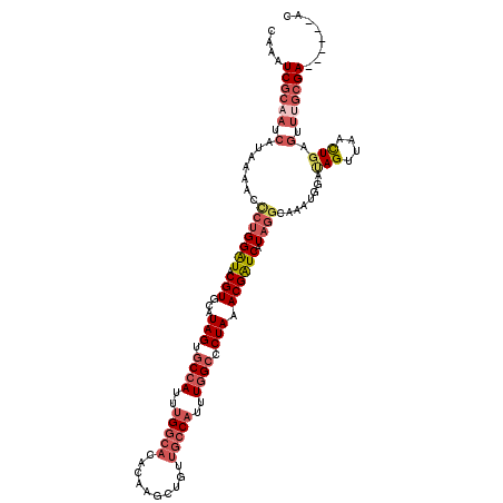 secondary structure