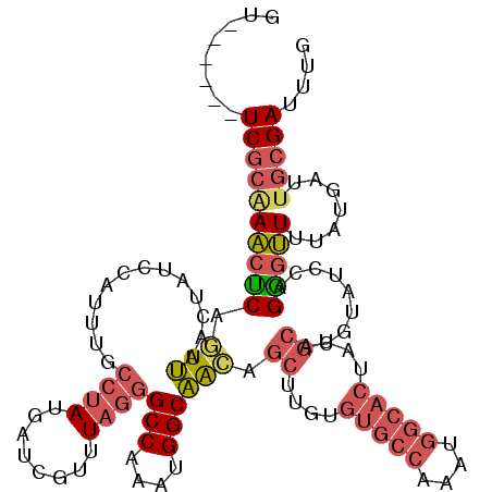 secondary structure