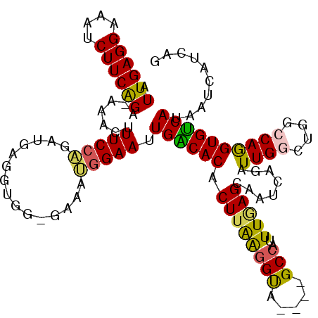 secondary structure