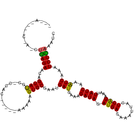 secondary structure