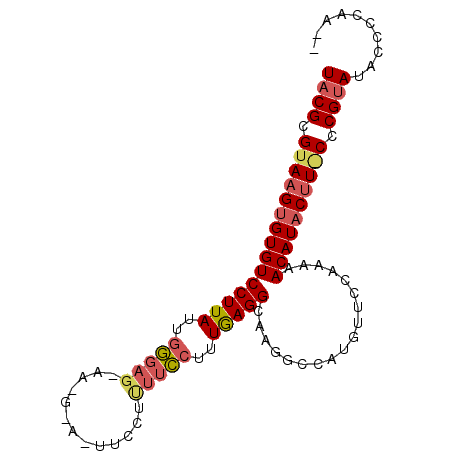 secondary structure