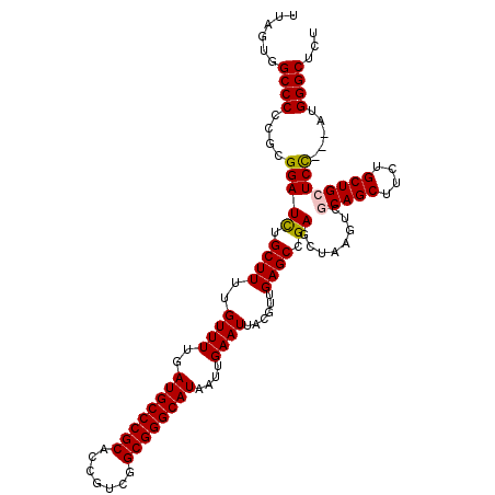 secondary structure