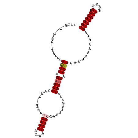 secondary structure