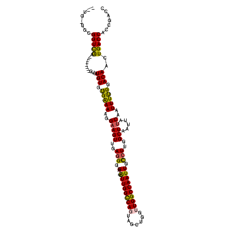 secondary structure