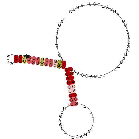 secondary structure