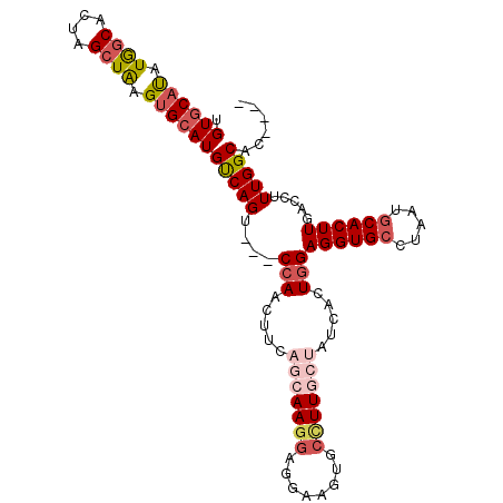 secondary structure