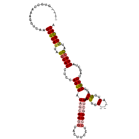 secondary structure