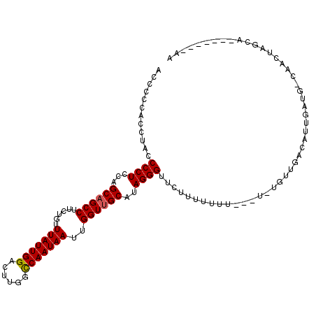 secondary structure