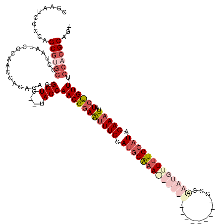 secondary structure