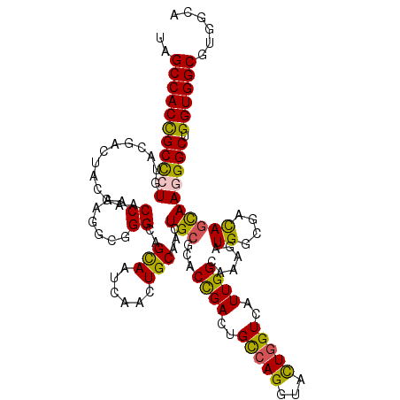 secondary structure