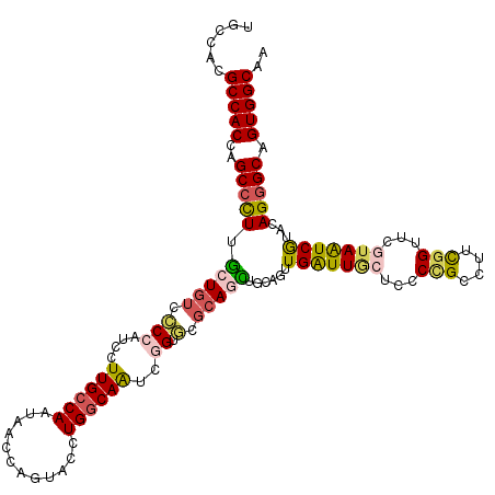 secondary structure