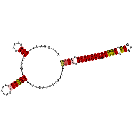 secondary structure