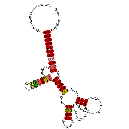 secondary structure