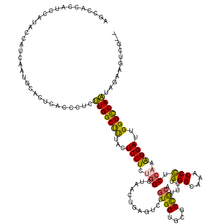 secondary structure