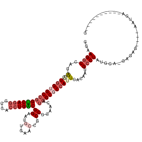 secondary structure
