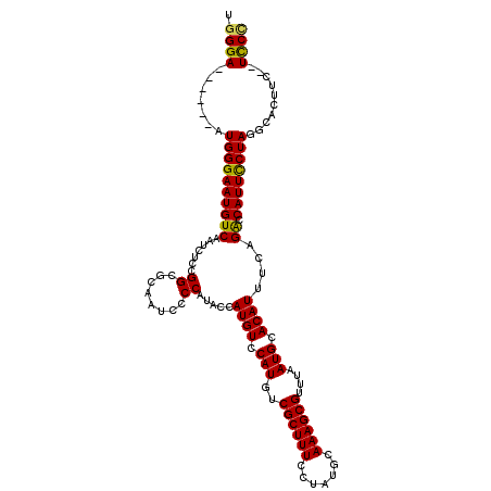 secondary structure