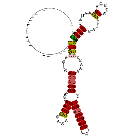 secondary structure