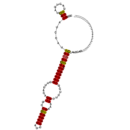secondary structure