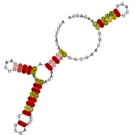 secondary structure