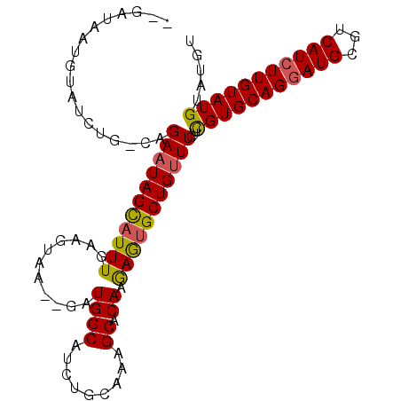 secondary structure