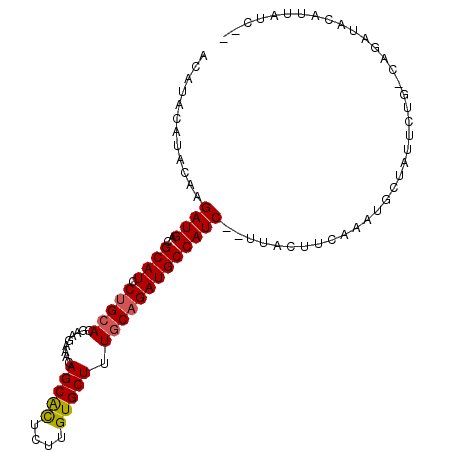 secondary structure