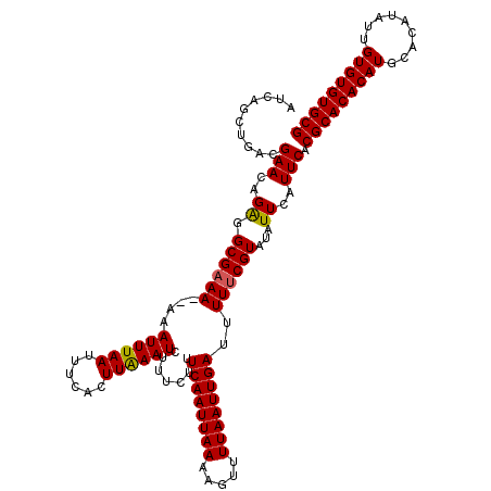 secondary structure