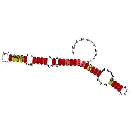 secondary structure