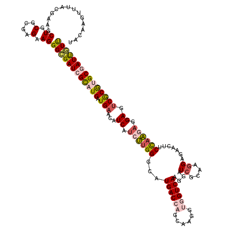 secondary structure