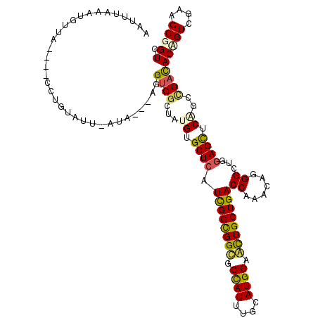 secondary structure