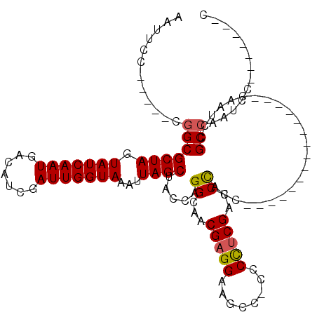 secondary structure