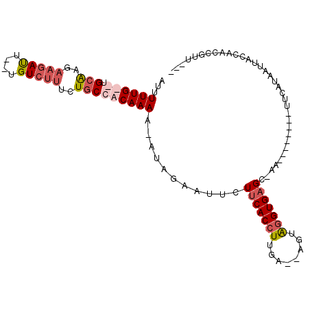 secondary structure