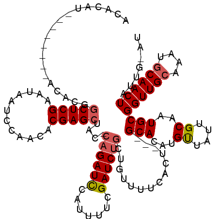 secondary structure