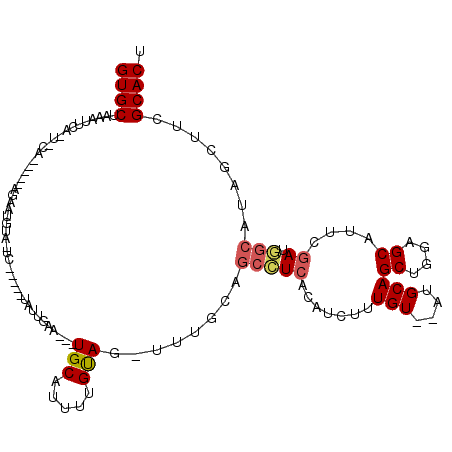 secondary structure