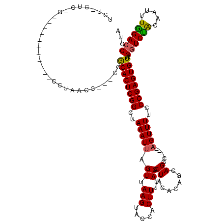 secondary structure