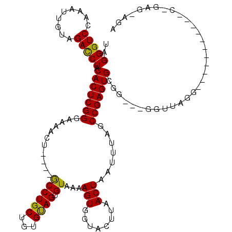 secondary structure