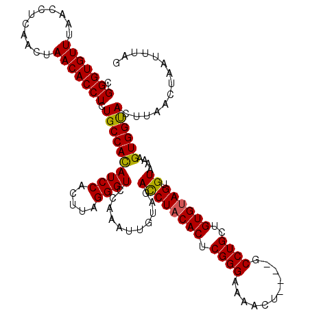 secondary structure