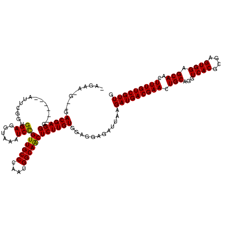 secondary structure