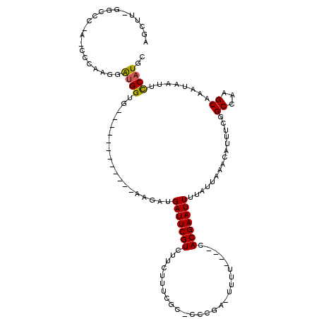 secondary structure