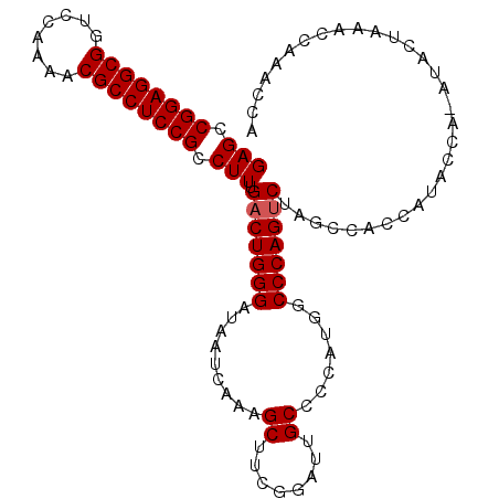 secondary structure