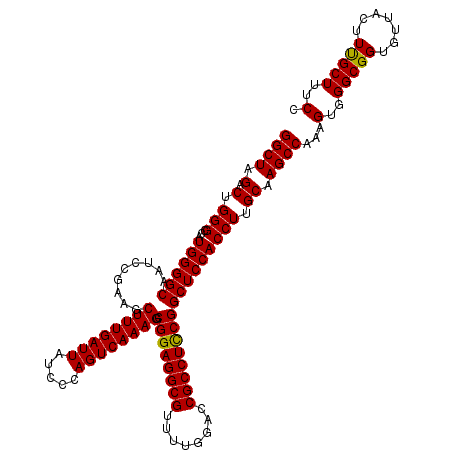 secondary structure