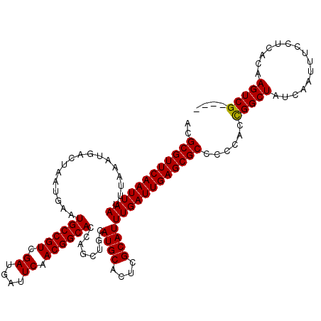 secondary structure