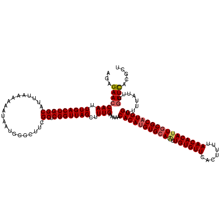 secondary structure