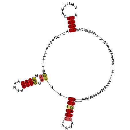 secondary structure