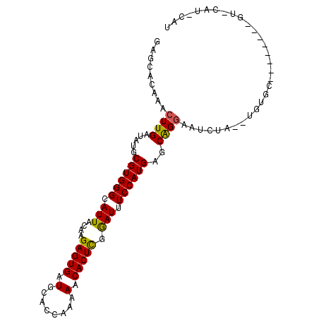 secondary structure