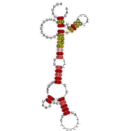 secondary structure