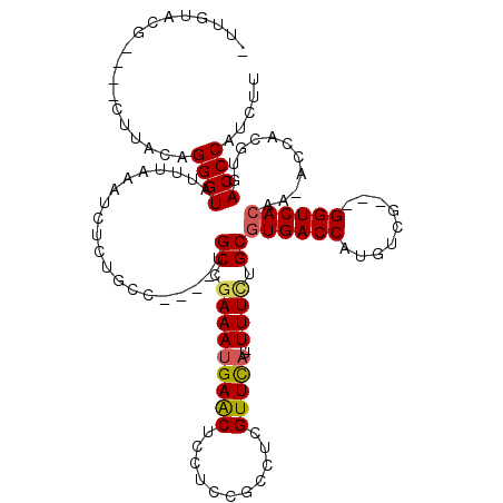 secondary structure