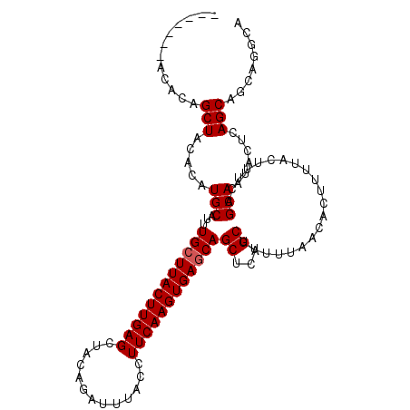 secondary structure