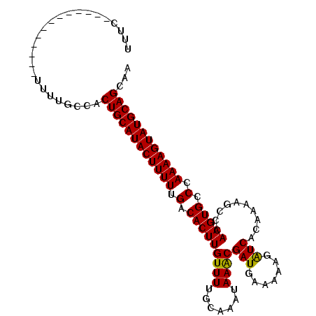 secondary structure